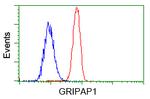 GRIPAP1 Antibody in Flow Cytometry (Flow)