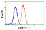 GRIPAP1 Antibody in Flow Cytometry (Flow)