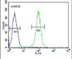 GRP78 Antibody in Flow Cytometry (Flow)