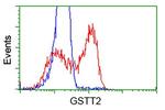 GSTT2 Antibody in Flow Cytometry (Flow)