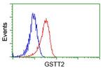 GSTT2 Antibody in Flow Cytometry (Flow)