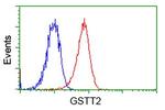 GSTT2 Antibody in Flow Cytometry (Flow)
