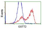 GSTT2 Antibody in Flow Cytometry (Flow)