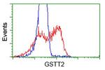 GSTT2 Antibody in Flow Cytometry (Flow)