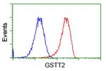 GSTT2 Antibody in Flow Cytometry (Flow)