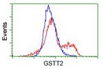 GSTT2 Antibody in Flow Cytometry (Flow)