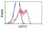 GSTT2 Antibody in Flow Cytometry (Flow)