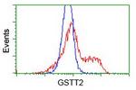 GSTT2 Antibody in Flow Cytometry (Flow)