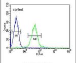GTPBP2 Antibody in Flow Cytometry (Flow)