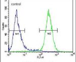 GTPBP8 Antibody in Flow Cytometry (Flow)