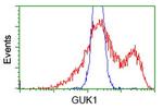 GUK1 Antibody in Flow Cytometry (Flow)