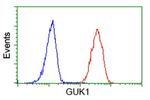 GUK1 Antibody in Flow Cytometry (Flow)