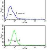 Glypican 1 Antibody in Flow Cytometry (Flow)