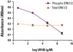 Multispecies ERK1/ERK2 In-Cell ELISA Kit, Colorimetric