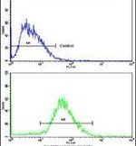 H-cadherin Antibody in Flow Cytometry (Flow)