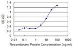 A1BG Monoclonal Antibody (4F6)