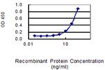 SERPINA3 Antibody in ELISA (ELISA)