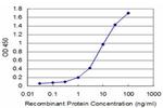ABL2 Monoclonal Antibody (2H8)