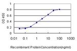 ACYP1 Antibody in ELISA (ELISA)