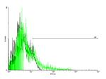 ADRB2 Antibody in Flow Cytometry (Flow)