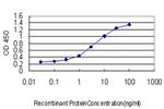 ALAS1 Antibody in ELISA (ELISA)