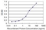 ANPEP Monoclonal Antibody (1G1)