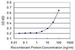 AQP8 Antibody in ELISA (ELISA)