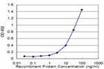 APP Monoclonal Antibody (1E6)