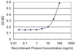 RHOC Antibody in ELISA (ELISA)