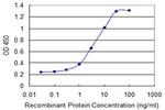 ASAH1 Antibody in ELISA (ELISA)