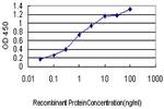 ASNA1 Antibody in ELISA (ELISA)