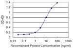ATF1 Antibody in ELISA (ELISA)