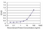 ATF3 Antibody in ELISA (ELISA)