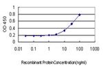 ATF3 Antibody in ELISA (ELISA)