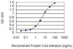 ATOH1 Antibody in ELISA (ELISA)
