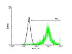 ATP1B3 Antibody in Flow Cytometry (Flow)