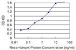 ATP5E Antibody in ELISA (ELISA)