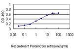 BAG1 Antibody in ELISA (ELISA)