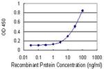 BCAT1 Antibody in ELISA (ELISA)