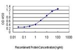 CEACAM1 Antibody in ELISA (ELISA)