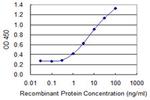 BNC1 Antibody in ELISA (ELISA)