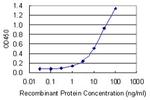BMP2 Monoclonal Antibody (3G7)