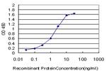 BNIP3L Antibody in ELISA (ELISA)