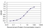 BRAF Antibody in ELISA (ELISA)