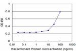 BST2 Antibody in ELISA (ELISA)