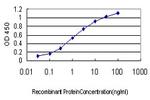BTF3 Antibody in ELISA (ELISA)