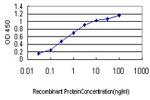 BUB1 Antibody in ELISA (ELISA)