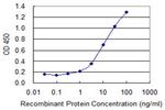 C4B Antibody in ELISA (ELISA)