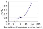 FMNL1 Monoclonal Antibody (1D7)