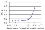 CA4 Antibody in ELISA (ELISA)